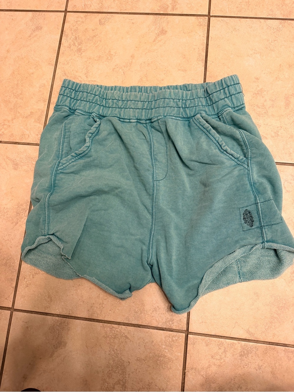Free People Teal Blue Terry Athletic Shorts